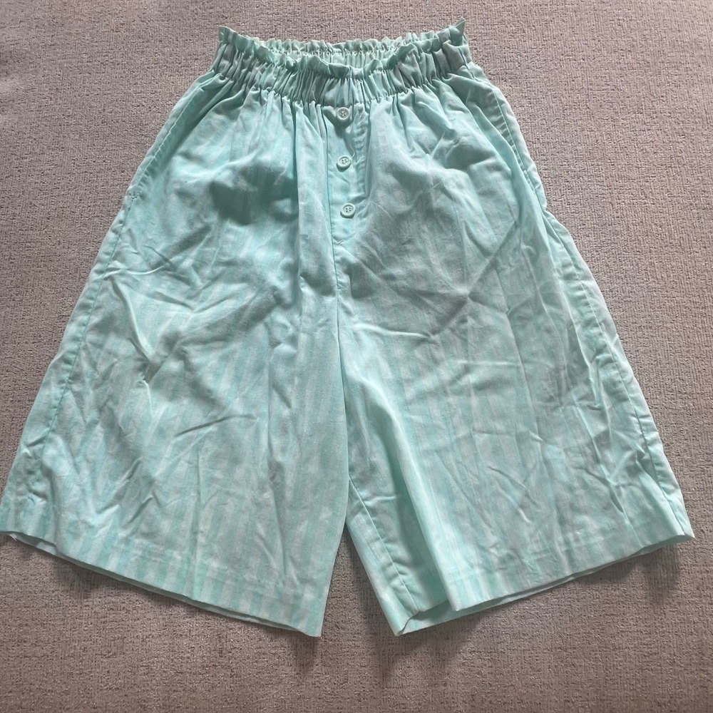 Vintage Bold Spirit Mint Striped High Waisted Shorts Wide Leg Culottes USA Made